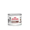 Image de 12x195g Recovery Royal Canin Veterinary Diet - Pâtée pour chat