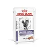 Image de 48x85g Royal Canin Expert Mature Consult Balance, mousse - Pâtée pour chat