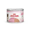Image de Royal Canin Mother & Babycat ultra tendre en mousse pour chaton - 12 x 195 g