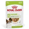 Image de 12x85g Royal Canin X-Small Adult en sauce pour chien