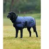 Image de Manteau Pour Chien ImpÃ©rmÃ©able Weatherbeeta Comfitec Classic