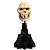 Image de Le Seigneur des Anneaux - Statuette Skull of Lurtz 14 cm