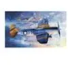 Image de Trumpeter - Republic P-47N Thunderbolt