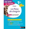 Image de La Peau De Chagrin - Parcours "Les Romans De L'énergie : Création Et Destruction" Bac Français 1re