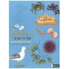 Image de Les Bords De Mer - Mon Cahier D'observation Et D'activitÃ©s