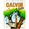 Image de Calvin Et Hobbes - Tome 13 - Enfin Seuls !