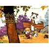 Image de Calvin Et Hobbes - Tome 3