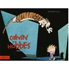 Image de Calvin Et Hobbes IntÃ©grale - Tome 9