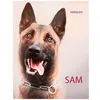 Image de Sam