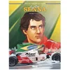 Image de Ayrton Senna - Histoires D'un Mythe