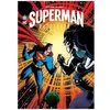 Image de Superman Aventures - Tome 2