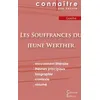 Image de Fiche de lecture Les Souffrances du jeune Werther de Goethe (Analyse littéraire de référence et résumé complet) - Johann Wolfgang Von Goethe