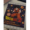 Image de Dragon Ball Z La Collection De Pin's Officielle !