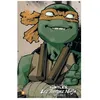 Image de Teenage Mutant Ninja Turtles - Les Tortues Ninja - IntÃ©grale Tome 7