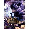 Image de Solo Leveling - Tome 17