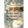 Image de Une Grande AnnÃ©e De MathÃ©matiques En Terminale S