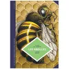 Image de Les Abeilles - Les ConnaÃ®tre Pour Mieux Les ProtÃ©ger