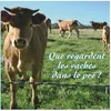 Image de Que Regardent Les Vaches Dans Le PrÃ© ?