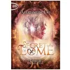 Image de Le Secret De LomÃ© Tome 2 - L'odysÃ©e De LomÃ©