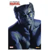 Image de Les TrÃ©sors De Marvel NÂ°11 : 1972