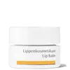Image de Baume à lèvres du Dr. Hauschka (4,5 ml)