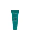 Image de Aveda Botanical Repair Strengthening Leave-In Treatment 25ml