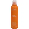 Image de Aveda Suncare Sun Care Hair & Body Cleanser 250ml