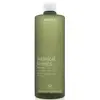 Image de Exfoliant Aveda Botanical Kinetics (150ML)
