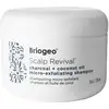 Image de Briogeo Scalp Revival Charcoal + Coconut Oil Micro-Exfoliating Scalp Scrub Shampoo (Various Sizes) - 236ml