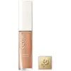 Image de Lancôme Teint Idôle Ultra Wear Care and Glow Concealer 13ml (Various Shades) - 425C
