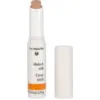 Image de Dr. Hauschka Abdeckstift 1.90 g 01 Natural Concealer 1.9 g