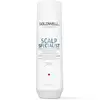 Image de Goldwell Dualsenses Scalp Specialist Shampoing Nettoyant en Profondeur [250 ml]