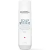 Image de Goldwell Dualsenses Scalp Specialist Anti-Dandruff Shampoo 250ml
