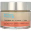 Image de The Organic Pharmacy Antioxidant Face Cream 50 ml