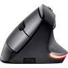 Image de Trust Bayo draadloze ergonomische muis Eco, voor rechtshandigen