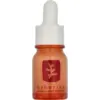 Image de Erborian Skin Therapy Night Serum 10 ml