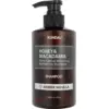 Image de Kundal Honey & Macadamia Nature Shampoo 500 ml