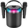 Image de Enceinte Pickering Star Karaoke