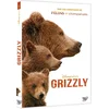 Image de Bears en occasion ou reconditionné