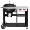 Image de Weber Performer Premium Smart 1501631