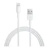 Image de Apple Lightning vers USB-A Câble 1 mètre MUQW3ZM/A