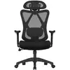 Image de Fauteuil d'ordinateur ergonomique réglable noir OBN063B01