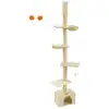 Image de Arbre à chat du sol au plafond, Beige PCT210Y01