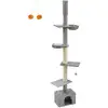 Image de Arbre à chat du sol au plafond, Gris Clair PCT210G01