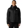 Image de The North Face Veste Terra Peak
