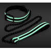 Image de Collier-Laisse fluorescente Glo 75cm