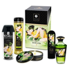 Image de Coffret 5 pièces Garden of Edo Shunga