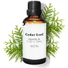 Image de Daffoil Huile Essentielle Cedar Leaf 50ml