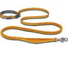 Image de Ruffwear Laisse Pour Chien Roamer 