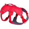 Image de Ruffwear Harnais Pour Chien Web Master 